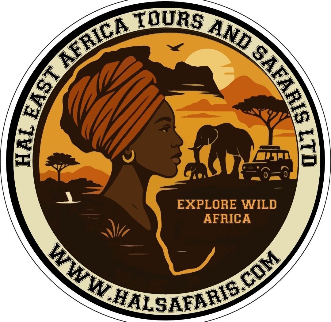 www.halsafaris.com